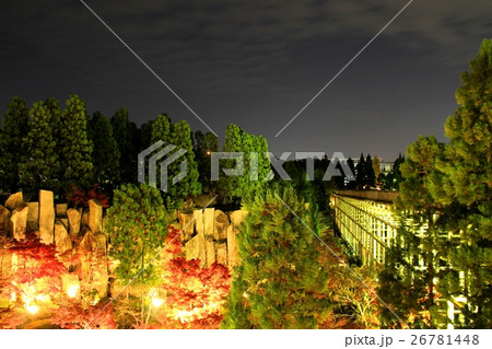 けいはんな記念公園ライトアップ けいはんな記念公園ライトアップ 26781448