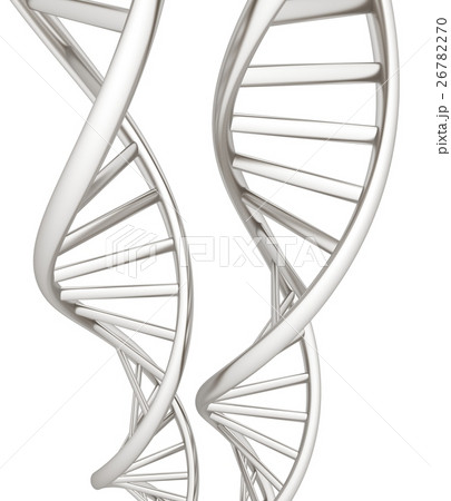 DNA structure model. 3d illustration DNA structure model. 3d illustration 26782270