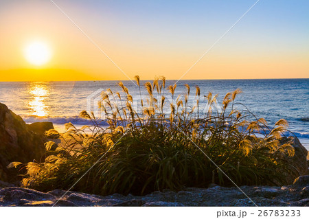日の出 恋路ヶ浜 日の出 恋路ヶ浜 26783233