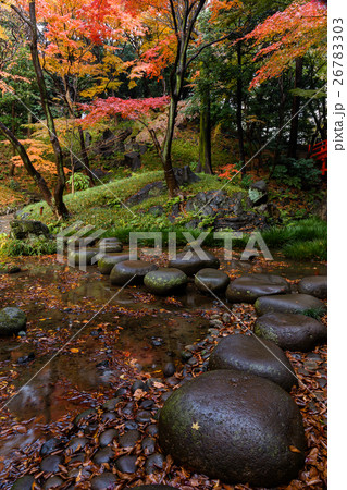 東京　秋の小石川後楽園（飛び石と紅葉） 26783303