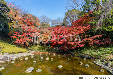東京 秋の小石川後楽園(通天橋と紅葉) 東京 秋の小石川後楽園(通天橋と紅葉) 26783315