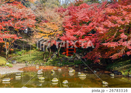 東京　秋の小石川後楽園（通天橋と紅葉） 26783316
