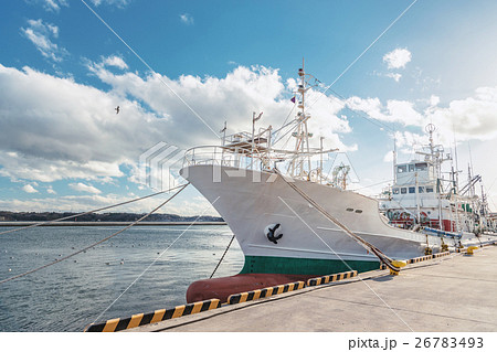 漁港の風景 26783493