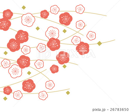 紅梅 白梅 背景素材のイラスト素材