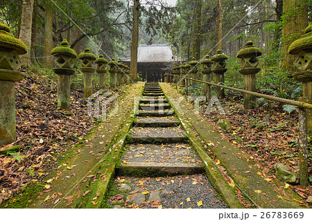 谷水薬師 谷水薬師 26783669