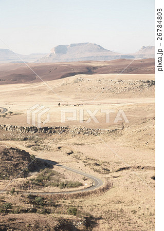 in south africa land bush and tree in south africa land bush and tree 26784803