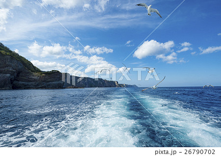 積丹でクルージング イメージカット（+カモメ） 26790702