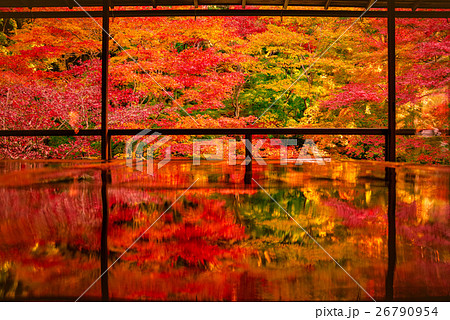 京都、瑠璃光院の紅葉 26790954