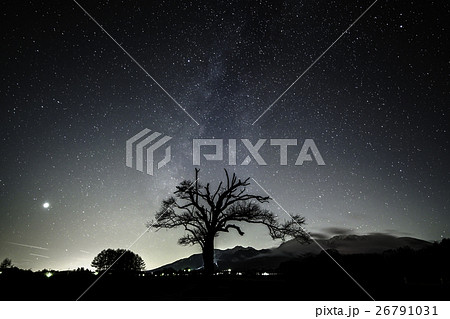 山梨の木と天の川 26791031