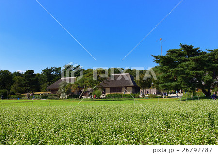 国営ひたち海浜公園 古民家・里の家 26792787