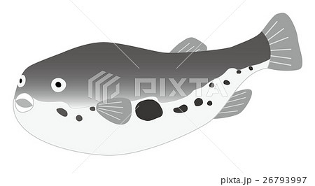 ふぐ ふぐ 26793997