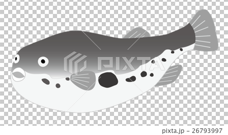 ふぐ ふぐ 26793997