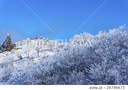 比良山系 武奈ケ岳の冬景色 26796673