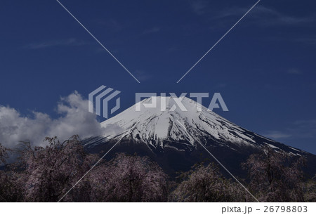 富士山 桜 サクラ 青空 世界遺産 雪 春 4月 山梨 風景 富士山 桜 サクラ 青空 世界遺産 雪 春 4月 山梨 風景 26798803