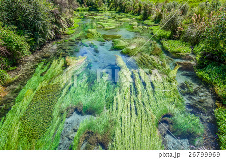 Blue Spring located at Hamilton, New Zealand. Blue Spring located at Hamilton, New Zealand. 26799969