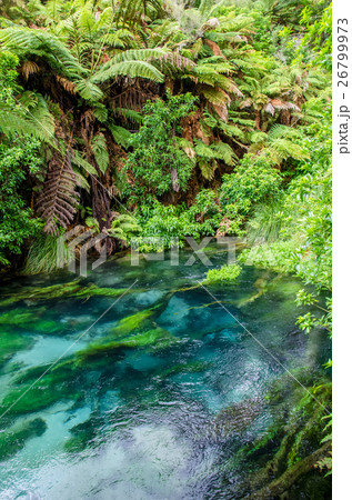 Blue Spring located at Hamilton, New Zealand. 26799973