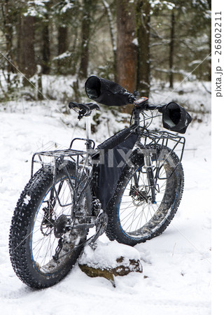 fatbike in the wood fatbike in the wood 26802211