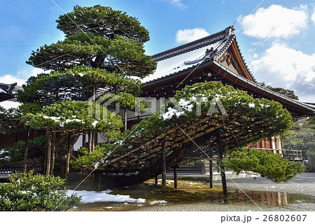 金閣寺(鹿苑寺)陸舟の松 金閣寺(鹿苑寺)陸舟の松 26802607