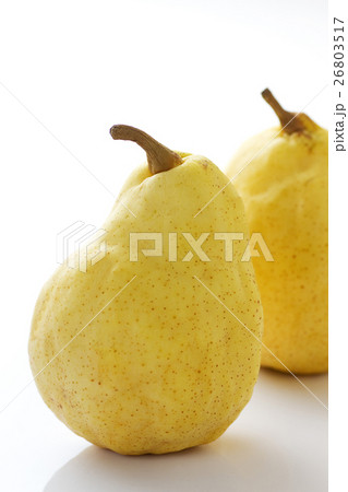 ル・レクチェ3 ル・レクチェ3 26803517