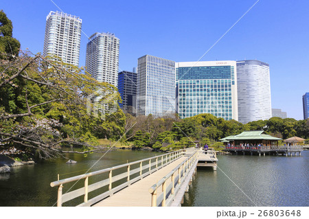 浜離宮庭園 26803648