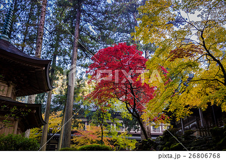 永平寺の紅葉 26806768