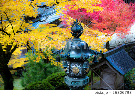 永平寺の紅葉 26806798