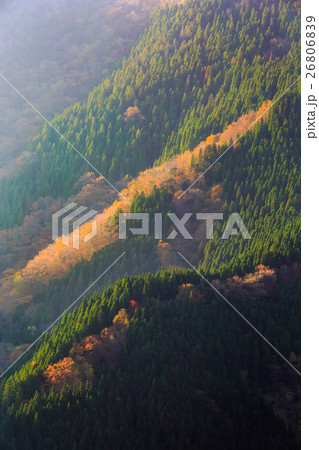 ナメゴ谷 紅葉 ナメゴ谷 紅葉 26806839