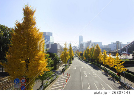 代々木公園の紅葉 26807543