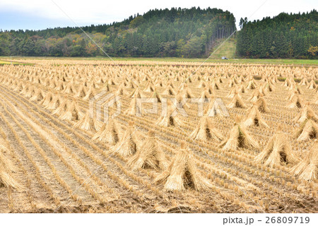 青森県 稲わらの三角帽子 26809719