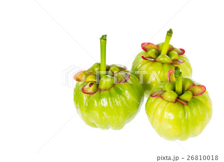 Garcinia cambogia fresh fruit on white background. 26810018