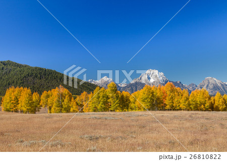 Autumn in the Tetons Autumn in the Tetons 26810822