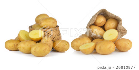 potato isolated on white background 26810977