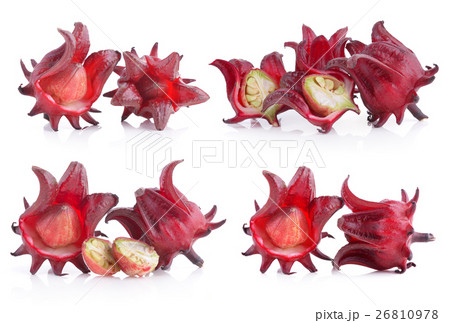 roselle on white background 26810978