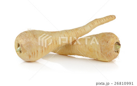 fresh parsnip roots on a white background fresh parsnip roots on a white background 26810991