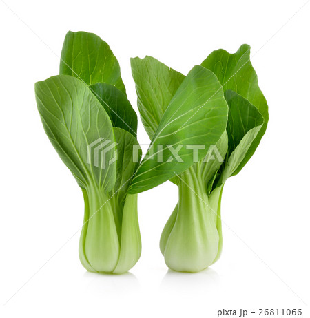 Bok choy vegetable on white background 26811066