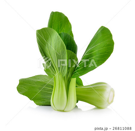 Bok choy vegetable on white background 26811088
