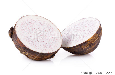 taro roots on white background taro roots on white background 26811227