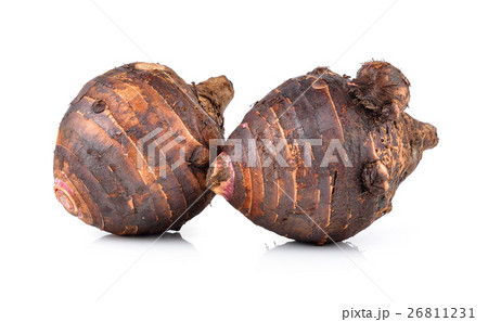 taro roots on white background taro roots on white background 26811231