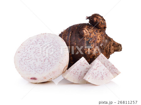 taro roots on white background taro roots on white background 26811257