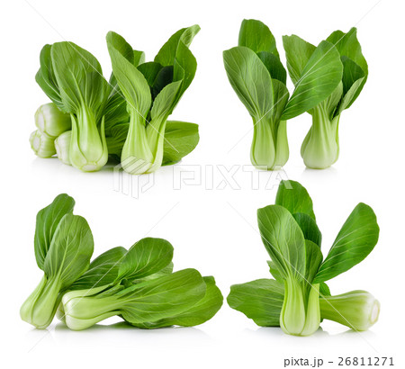 Bok choy vegetable on white background Bok choy vegetable on white background 26811271