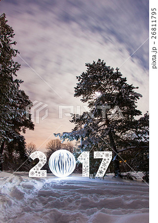 2017 New Year greeting card with night forest 2017 New Year greeting card with night forest 26811795