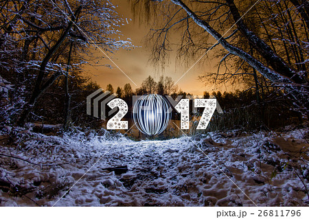 2017 New Year greeting card with night forest 26811796
