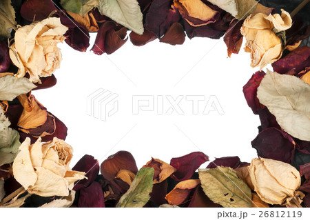 Frame of flowers 26812119