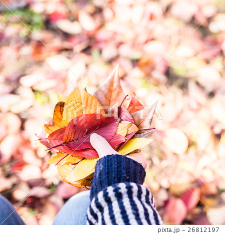 秋の情景 26812197