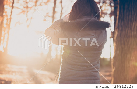 秋の散歩 26812225