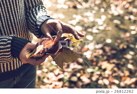 秋の情景 26812262