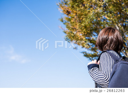 秋の情景 26812263