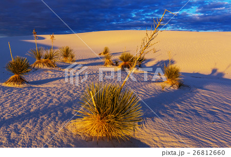 White sands White sands 26812660