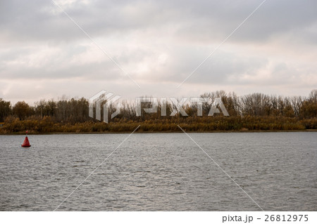 River Bank forest and rippled water surface on 26812975