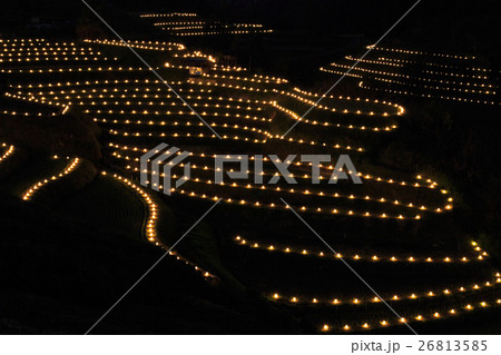 千早赤阪村棚田 棚田夢灯り 26813585